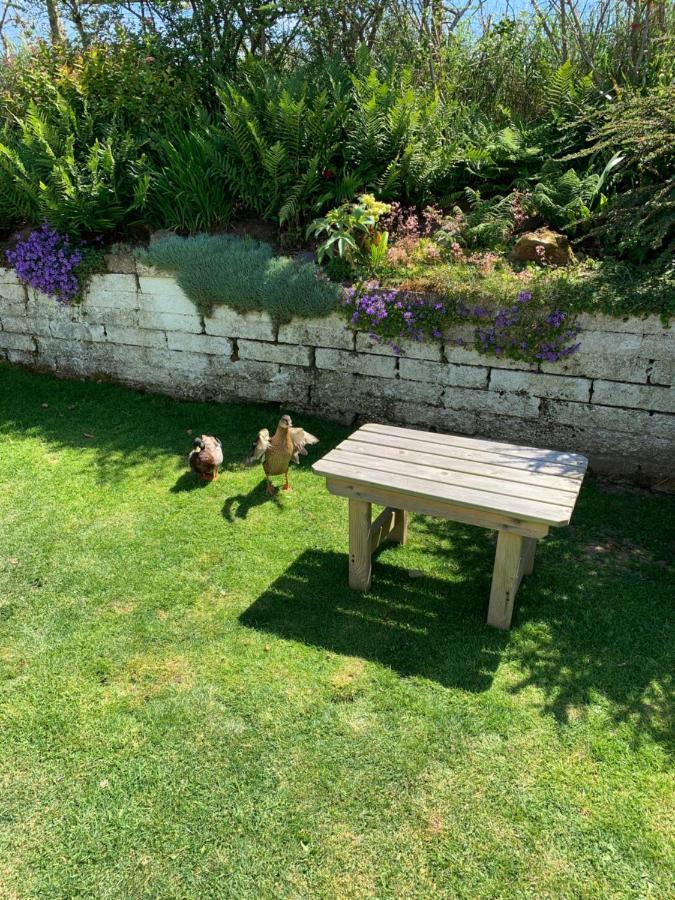 Ramsey House - Luxury Licensed B&B - Parking And Guest Lounge Saint David's Extérieur photo