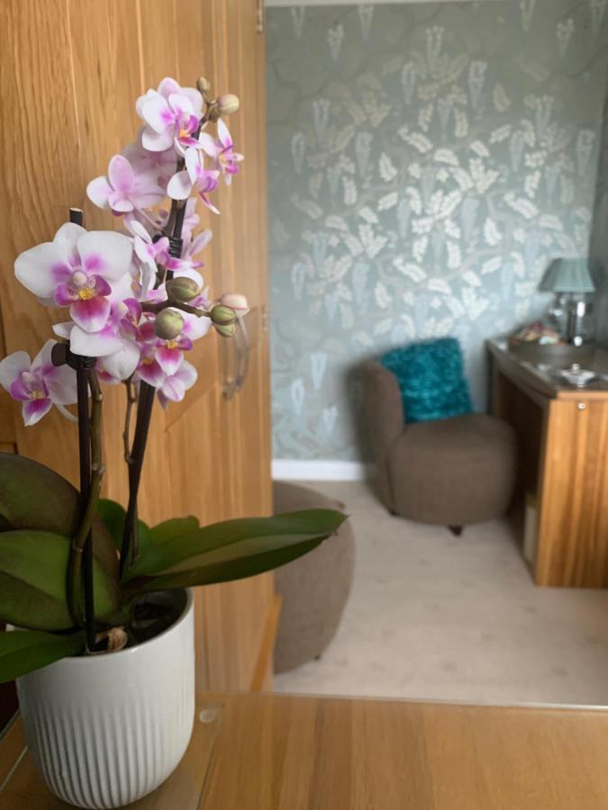 Ramsey House - Luxury Licensed B&B - Parking And Guest Lounge Saint David's Extérieur photo